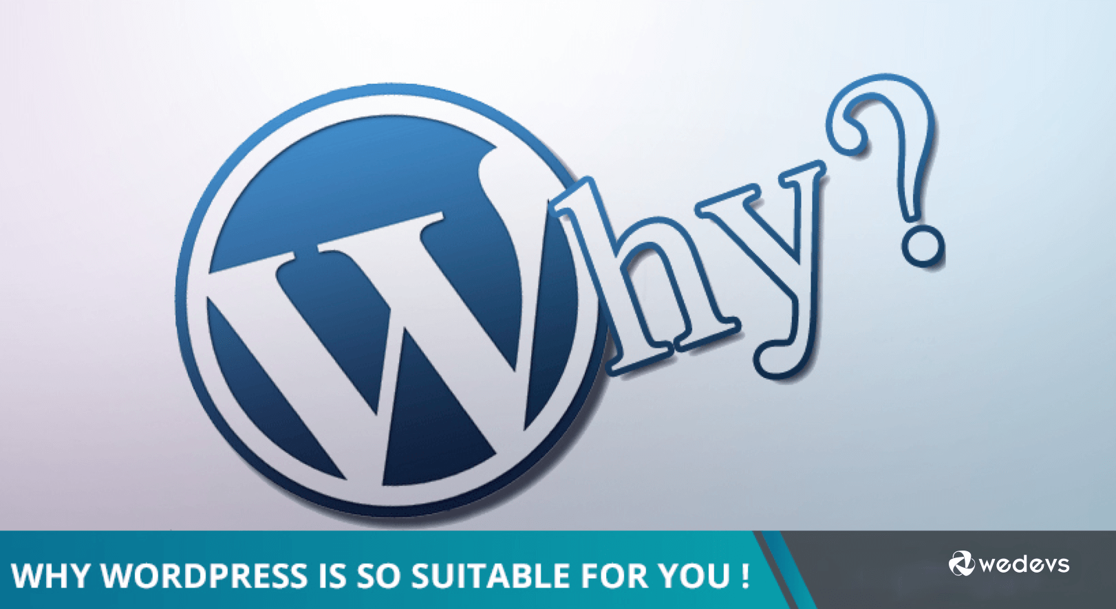 Why WordPress Is So Suitable For You!