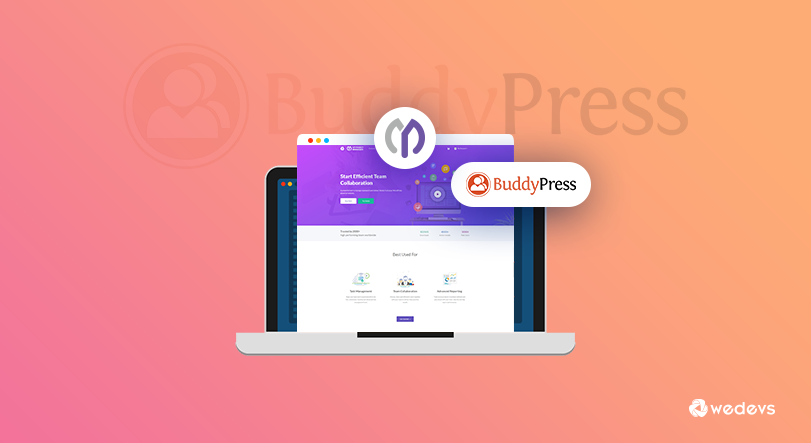 How to Use BuddyPress with WP Project Manager