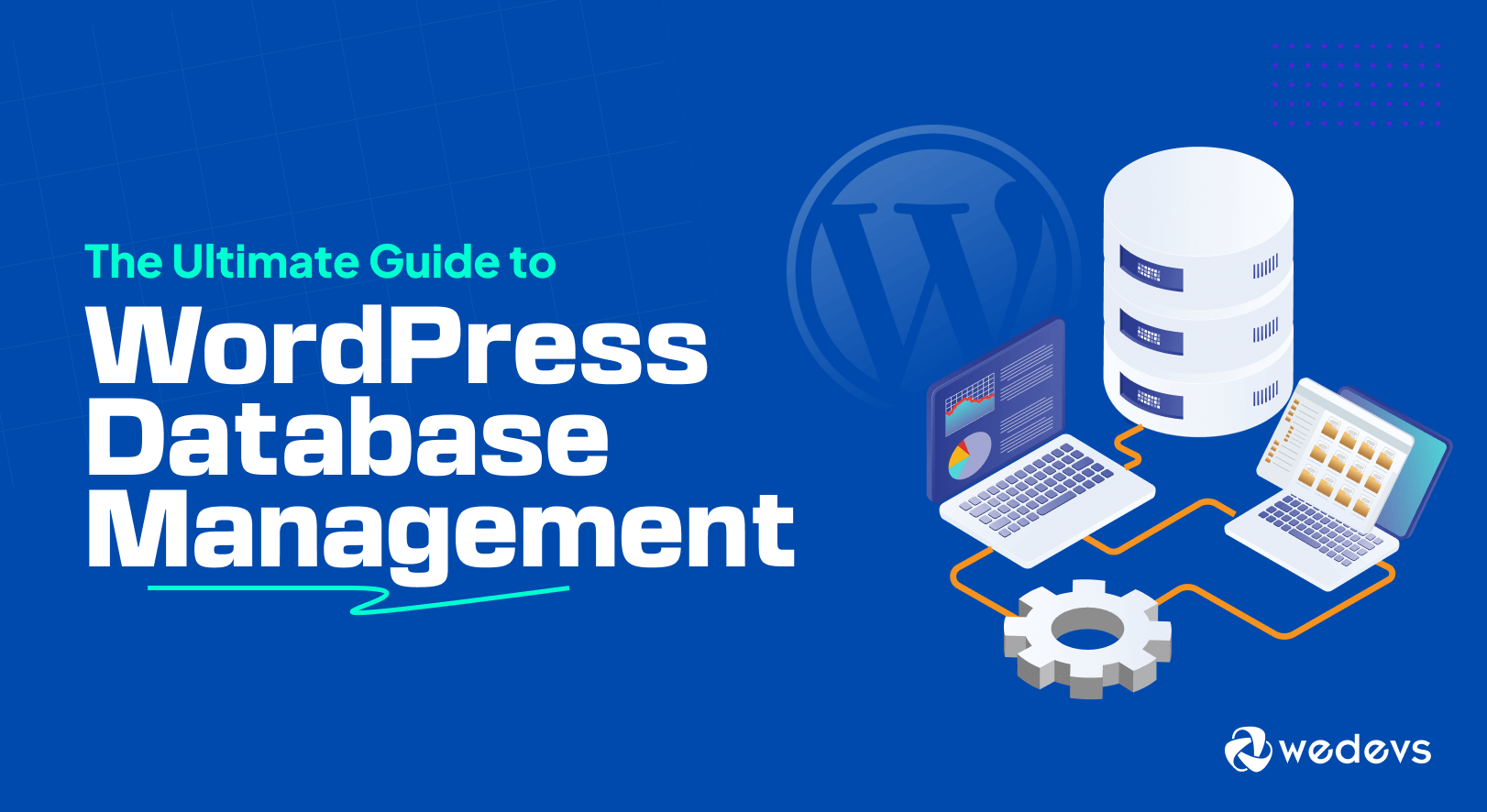 The Ultimate Guide to WordPress Database Management