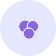 Customizable Color Scheme