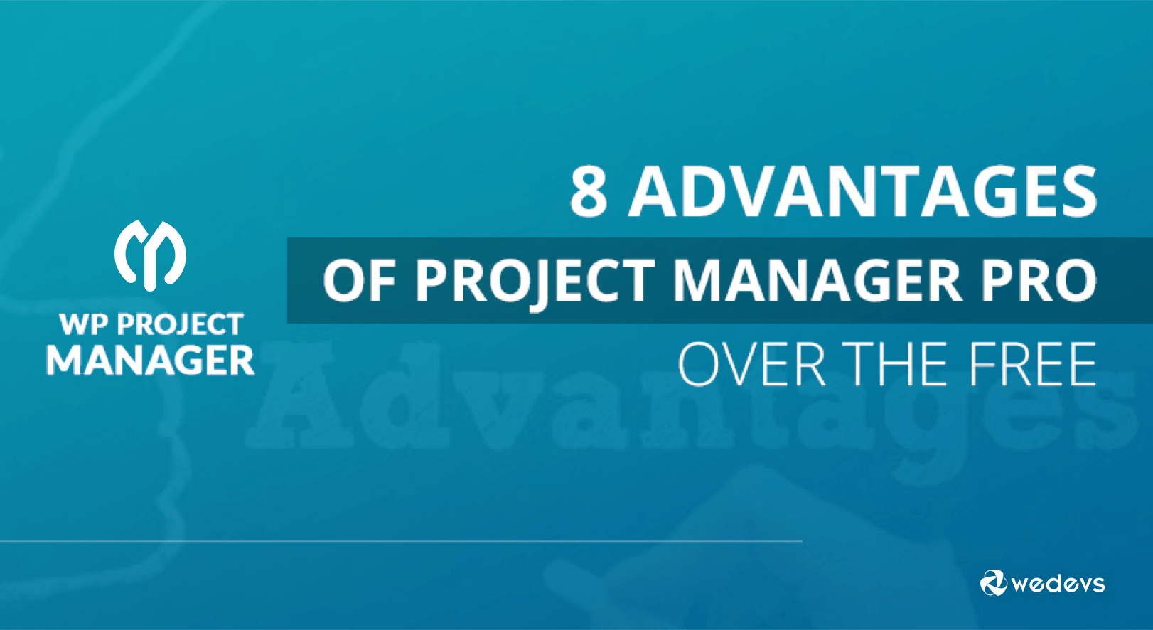 8 Advantages of Project Manager Pro over the Free