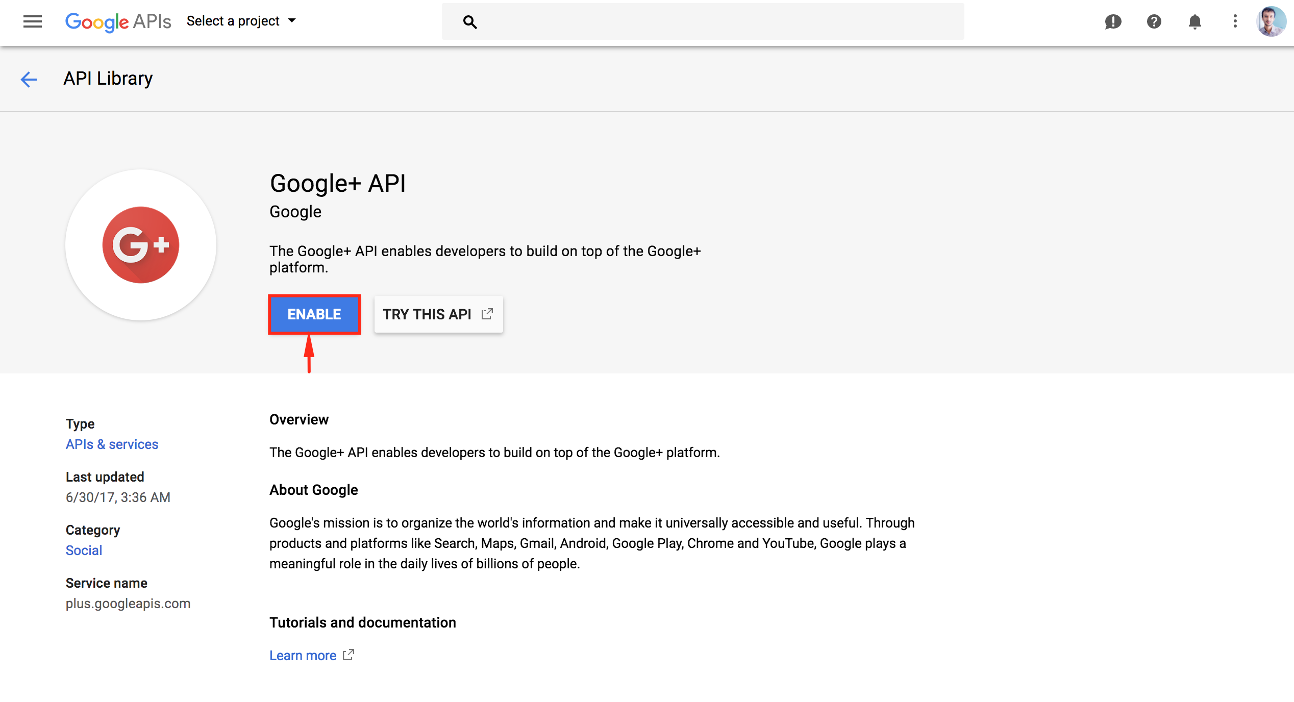 This image shows Google + API Settings 