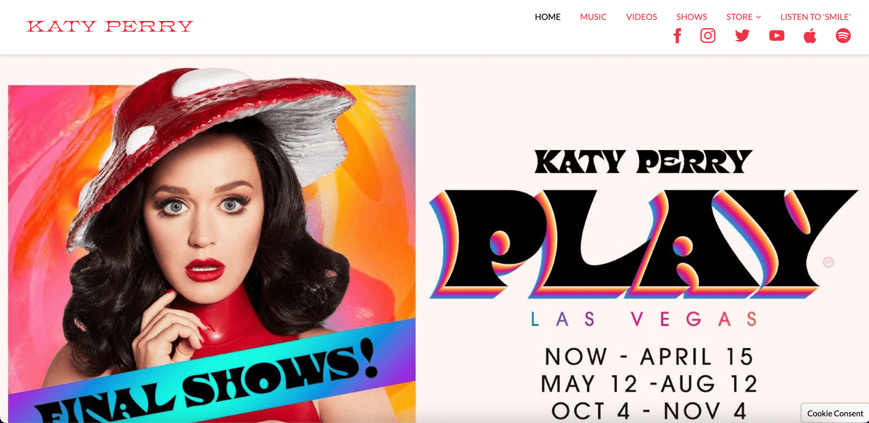 Katy Perry_companies using wordpress