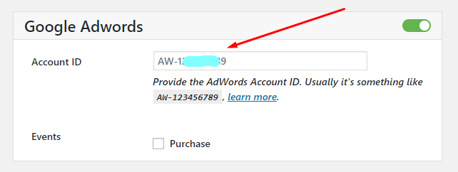 woocommerce conversion tracking google adwords account id