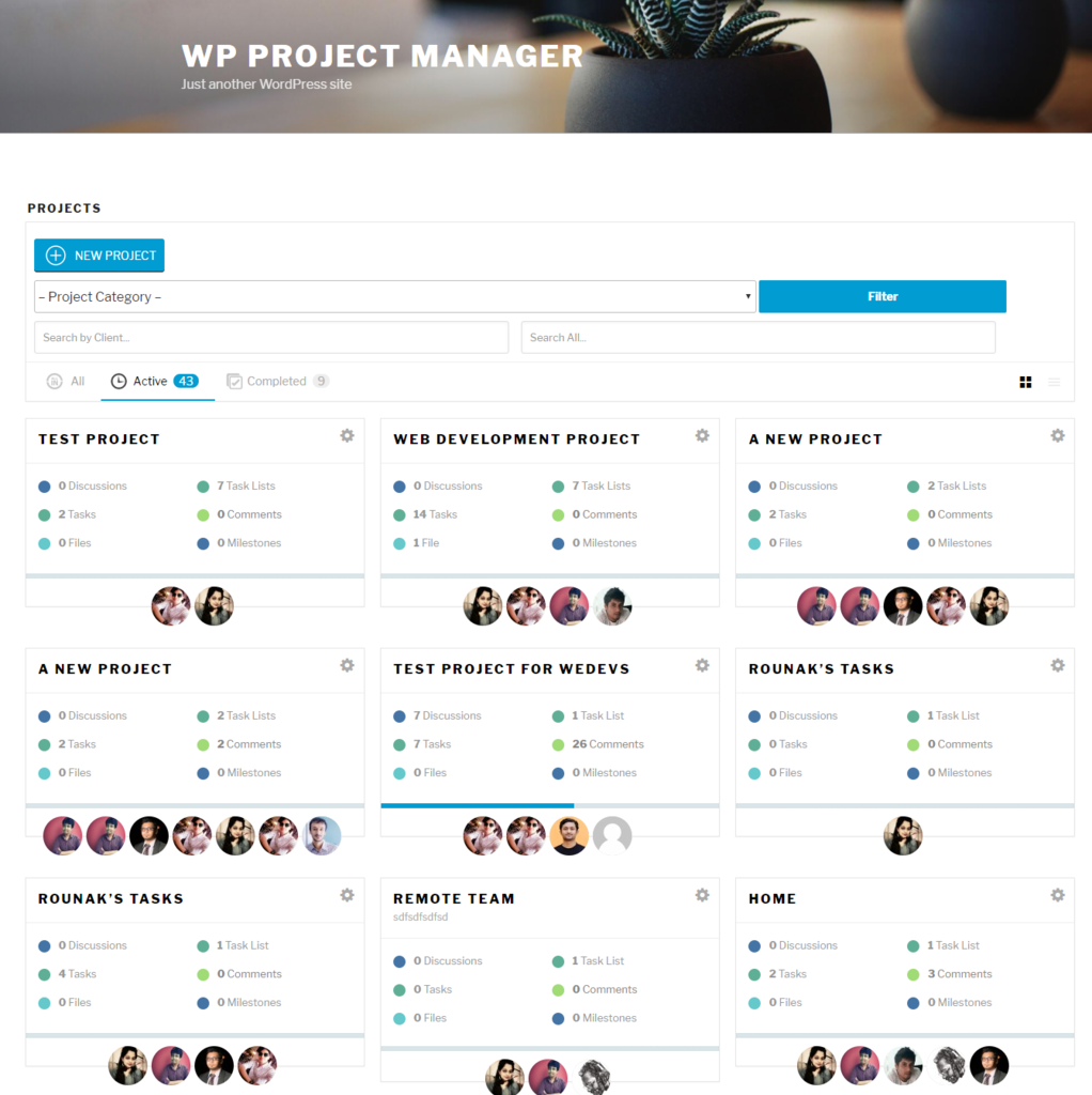 WP Project Manager
