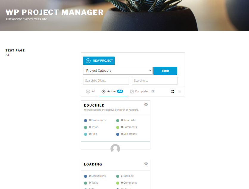 WordPress Frontend Project Management solution
