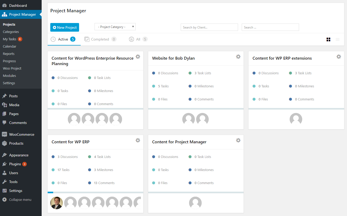 WP Project Manager dashboard view