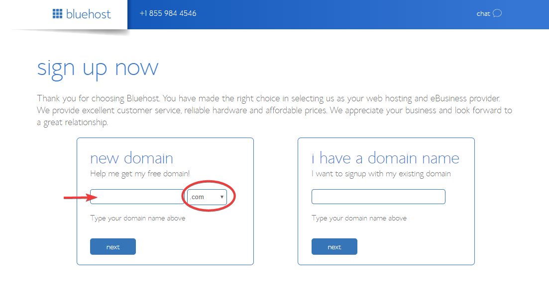 A screenshot of Domain name registration for starting a blog