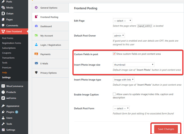 Custom Fields in Post