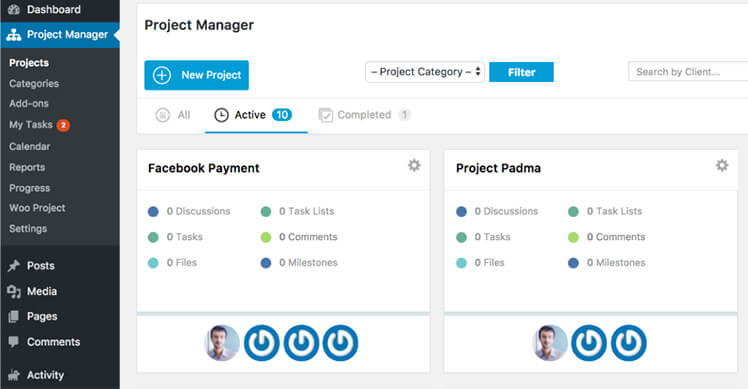 WP Project manager