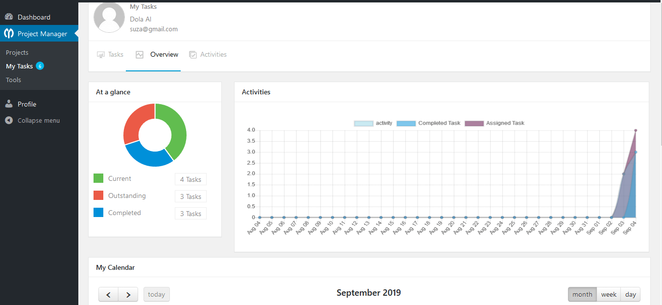 WP Project Manager- My task update