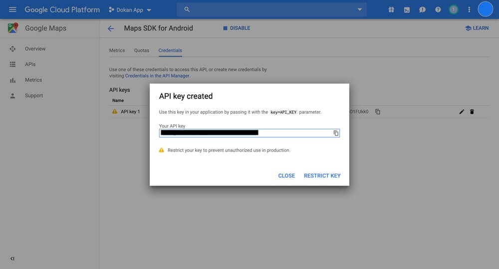 This image shows Api created Google Maps Api Key