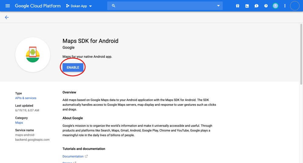 Enable SDK Google Maps Api Key