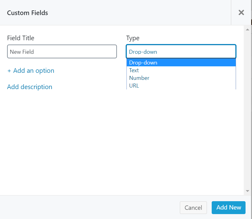 Add title and choose field option_Project Manager custom fields