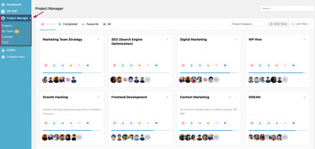 Project Manager_Project Tracking Dashboard