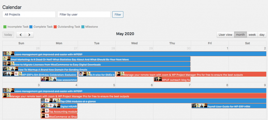 Project Manager Task Progress