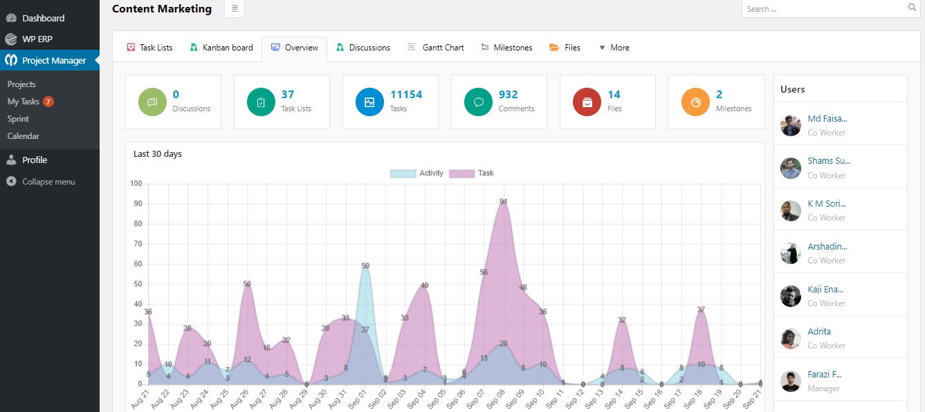 Project Overview- WordPress Project Manager Plugin