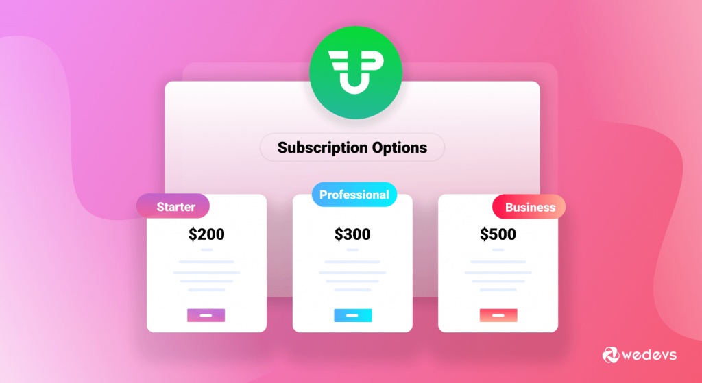 subscription business model working process