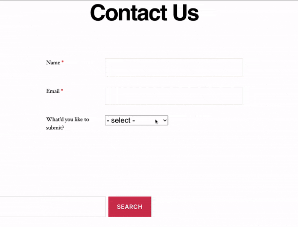 Frontend appearance of a conditional contact form