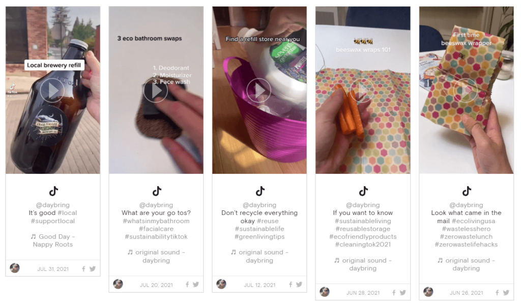A screenshot shows embed tiktok videos from a profile