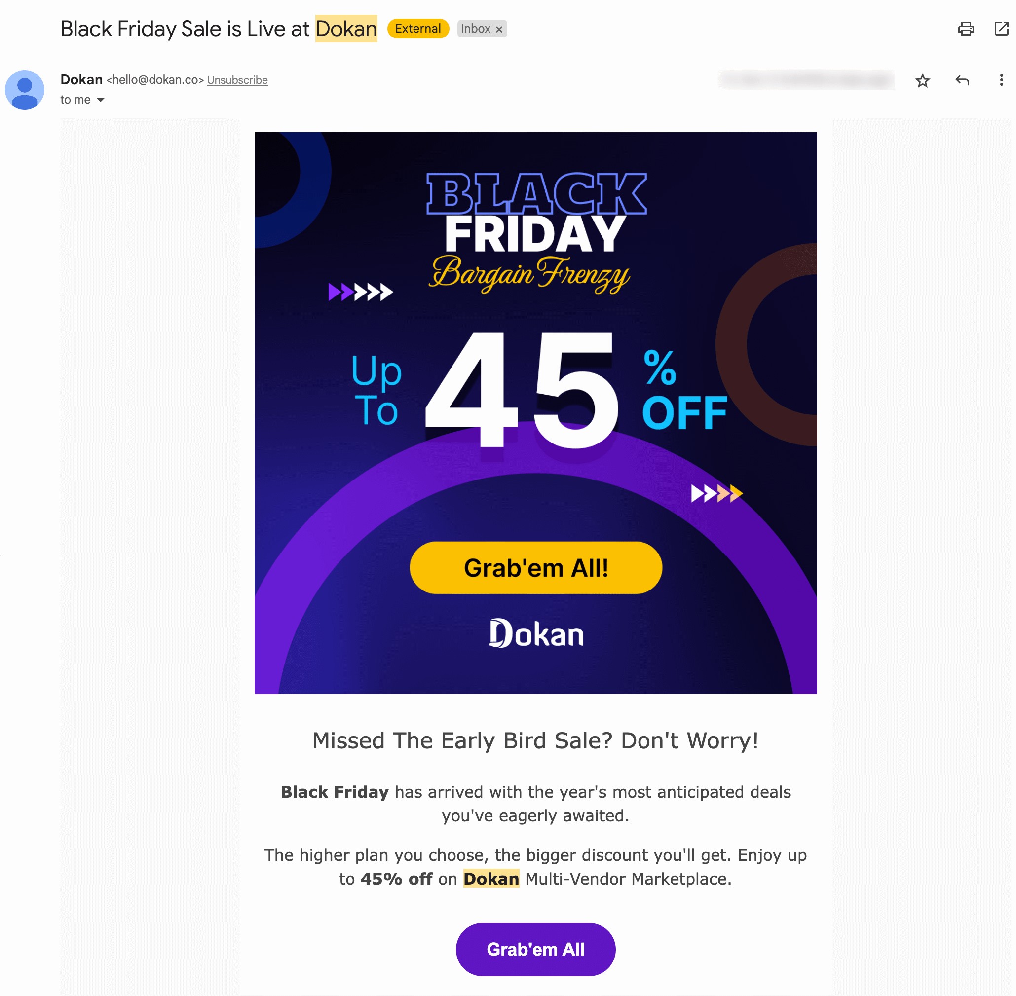 This is an example of email holiday marketing campaign