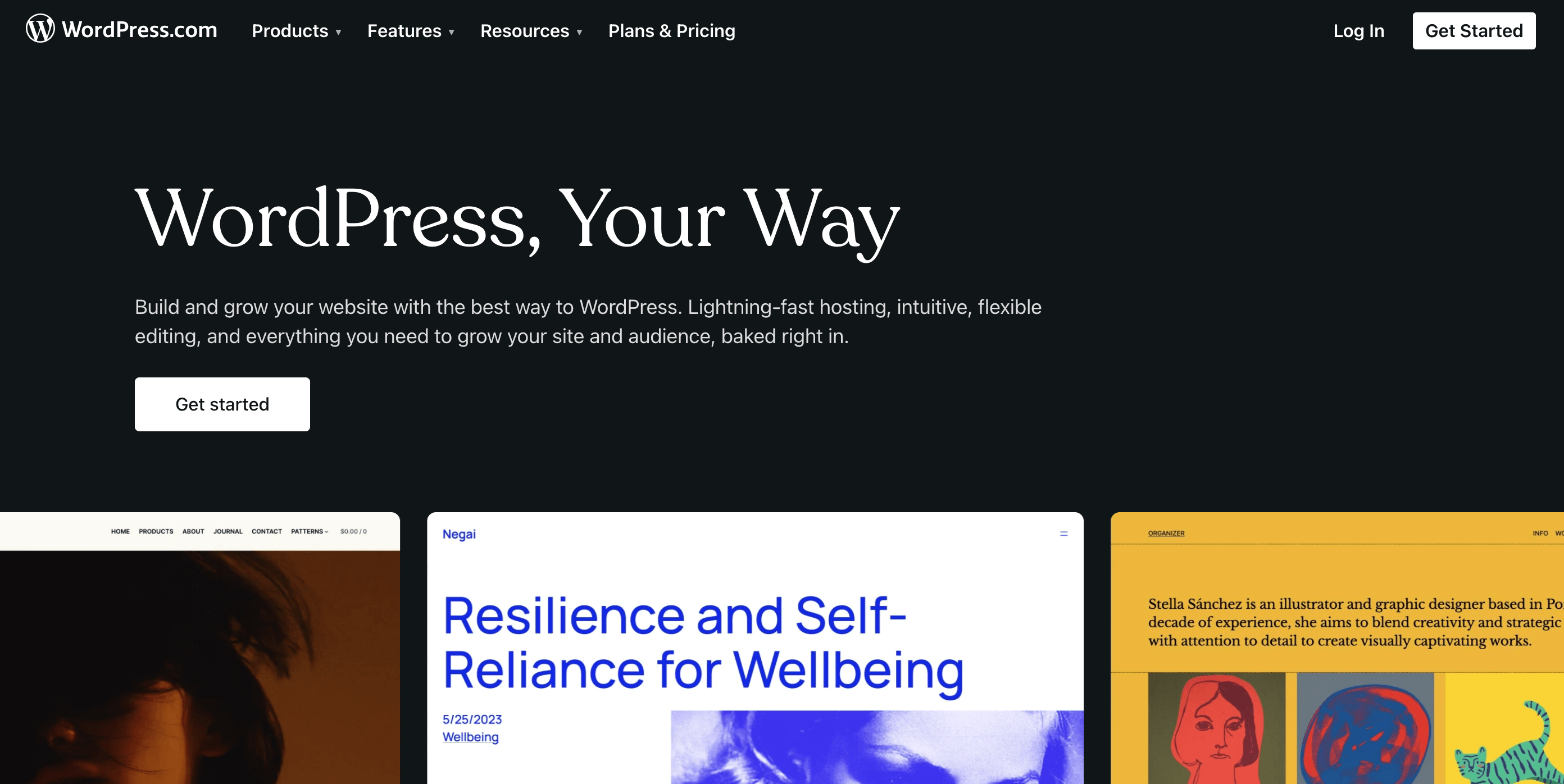 This is a screenshot of the WordPress homepage 