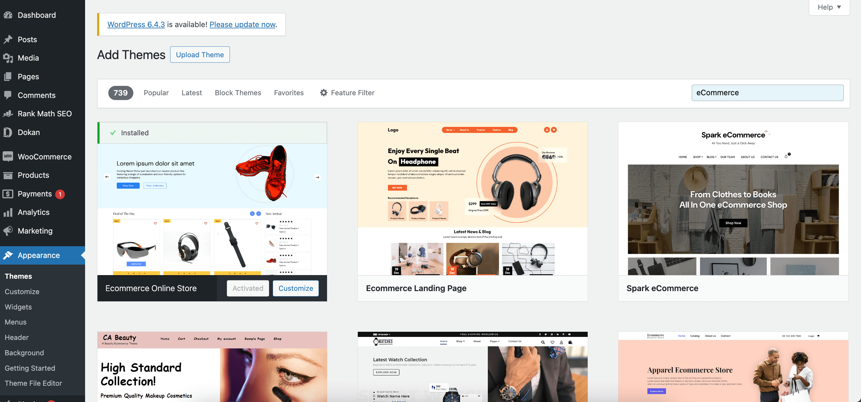 This is a screenshot of installing new theme