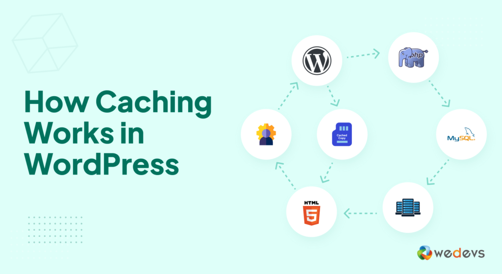 This image shows how caching works in a WordPress site 