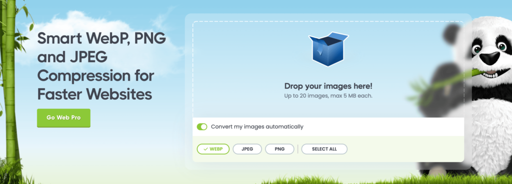 This is a screenshot of Select conversion
