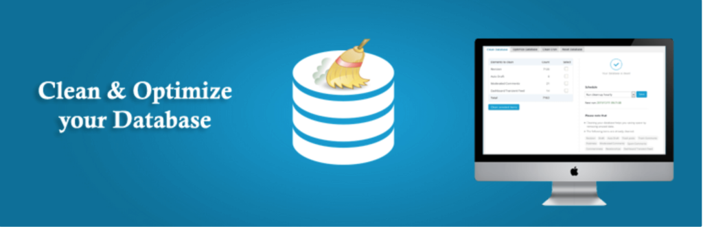 This is a screenshot of advanced database cleaner
