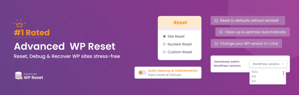 This image shows the advanced WordPress reset plugin