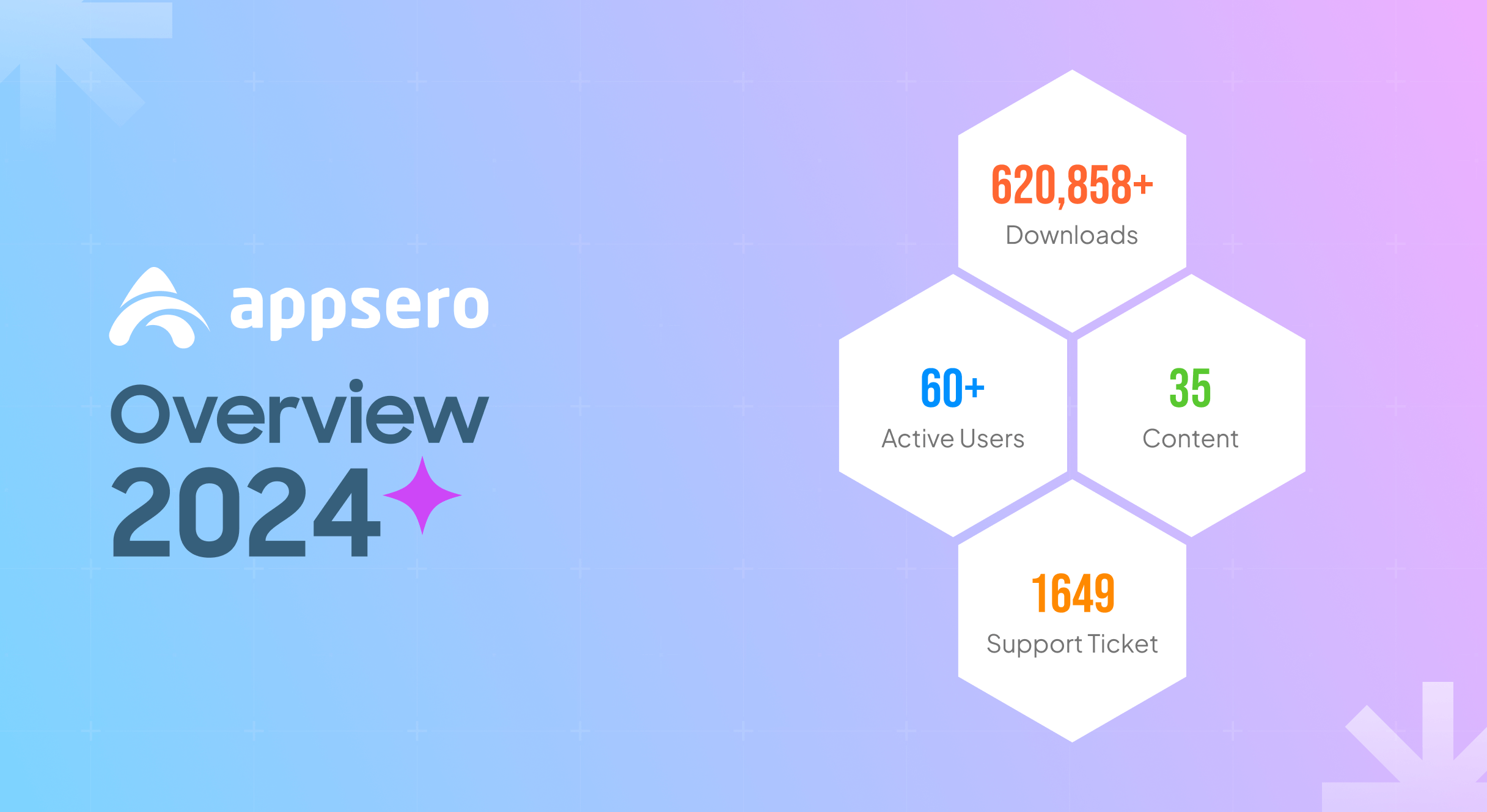 This image shows the overview of the Appsero in 2024