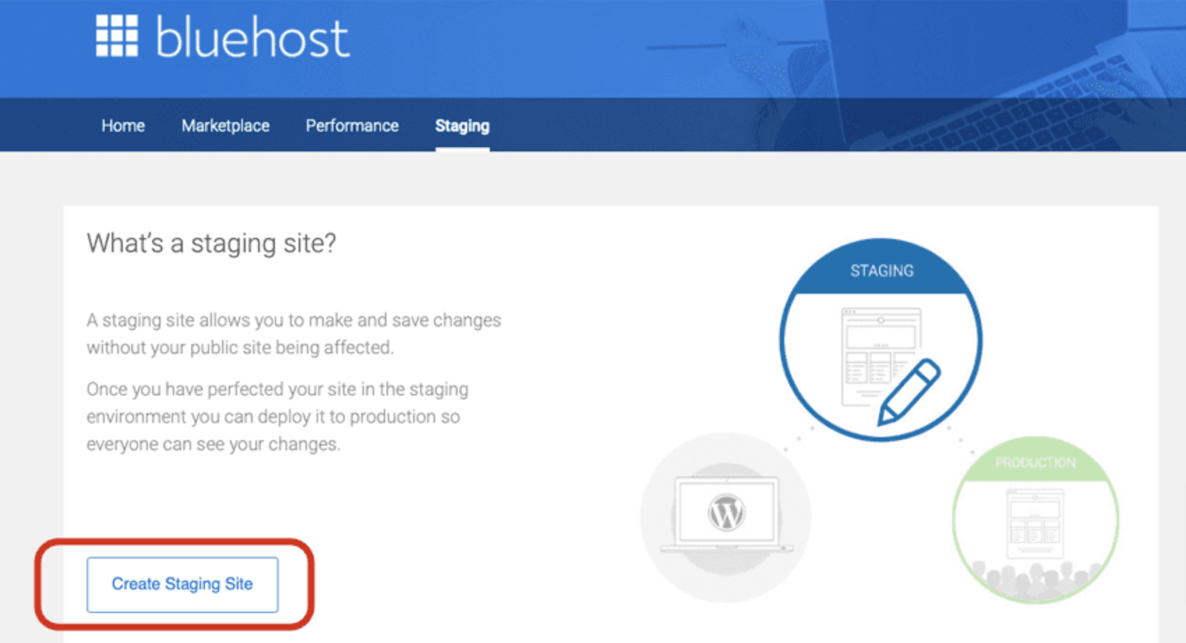 This image shows Bluehost staging site creation option