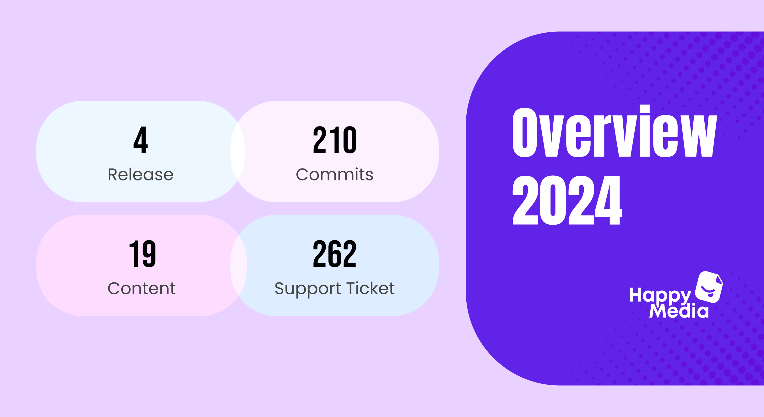 This image shows the overall growth of HappyMedia in 2024