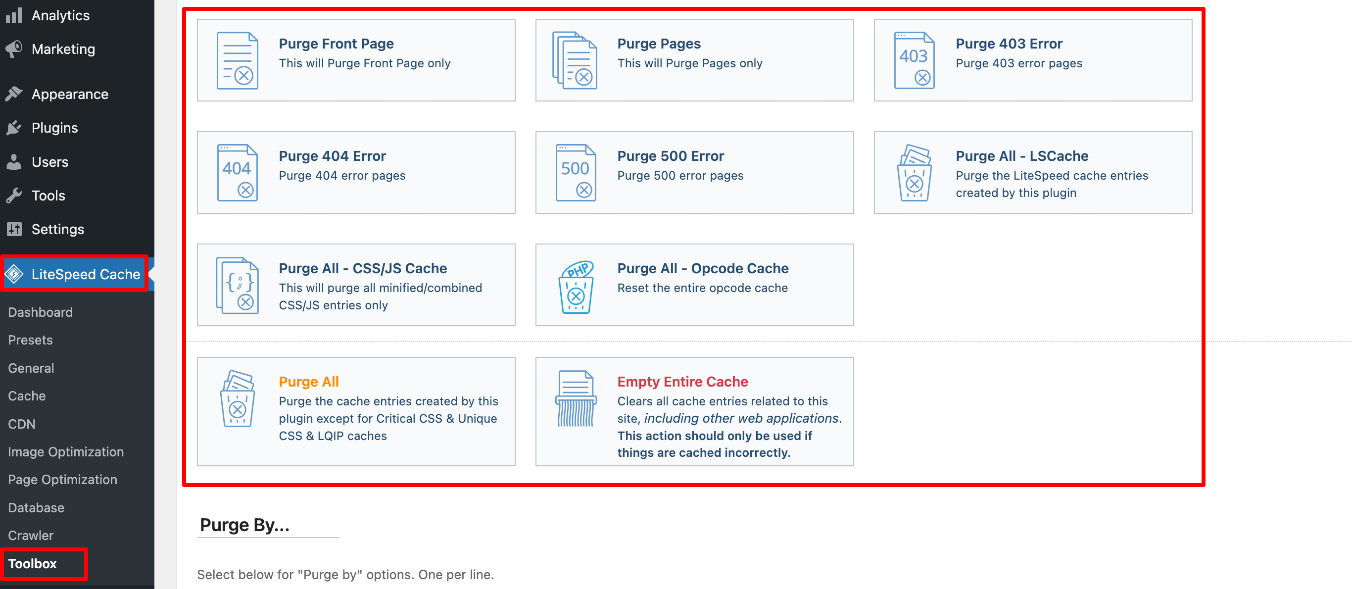 This image shows the list of purge options to clear cache. 