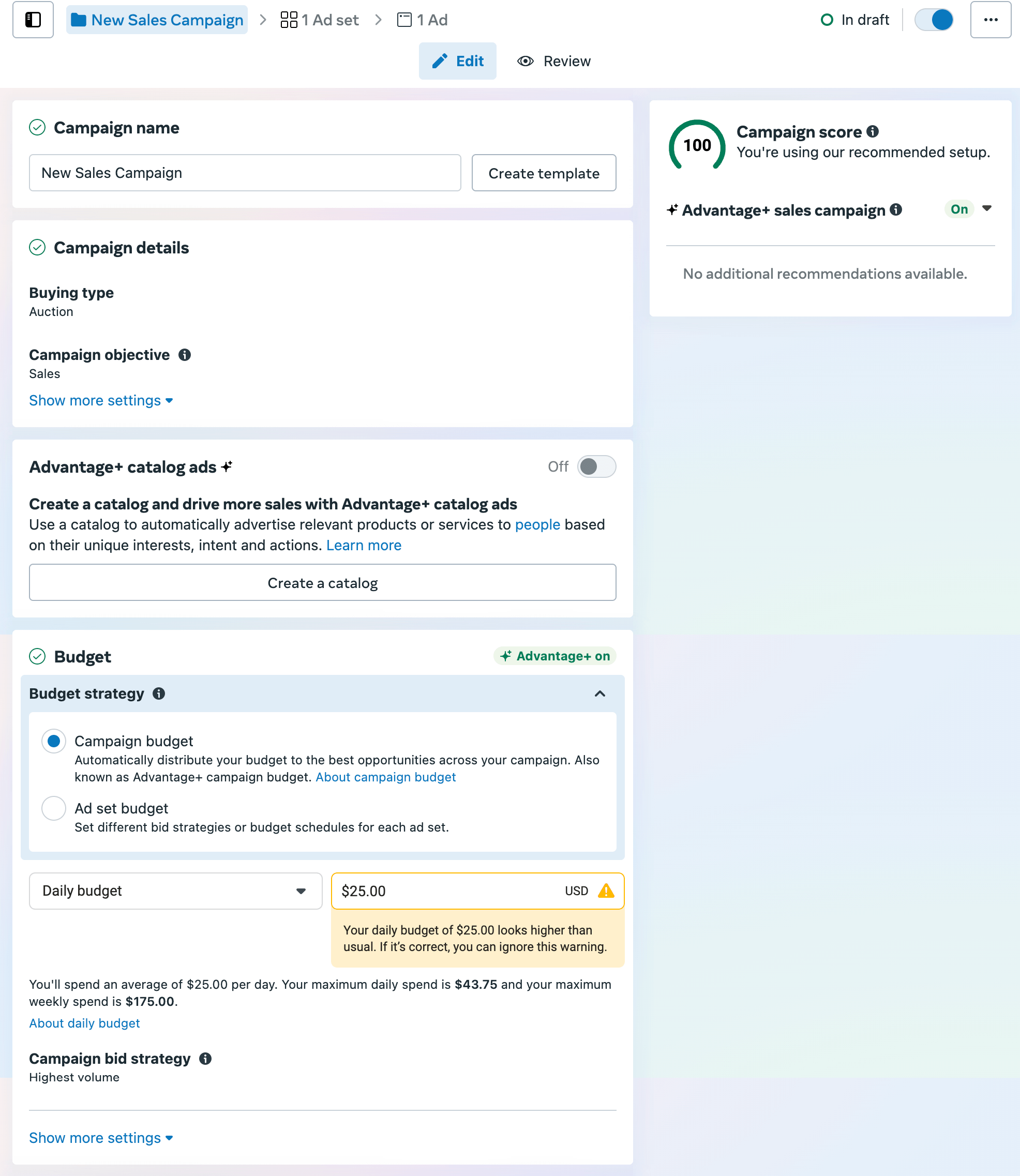 This screenshot shows the campaign details and budget set up options