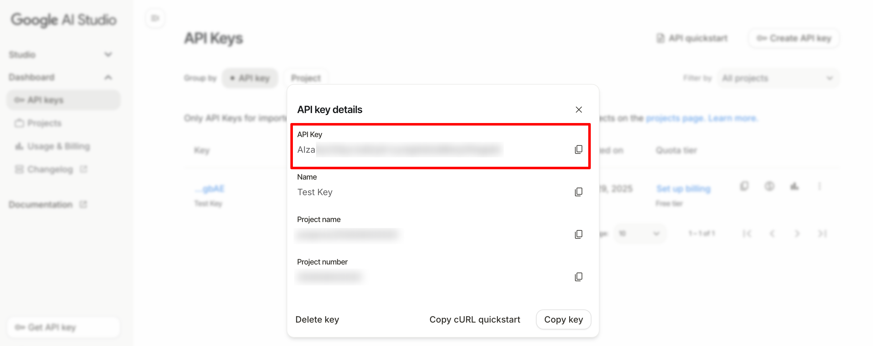 Gemini API key