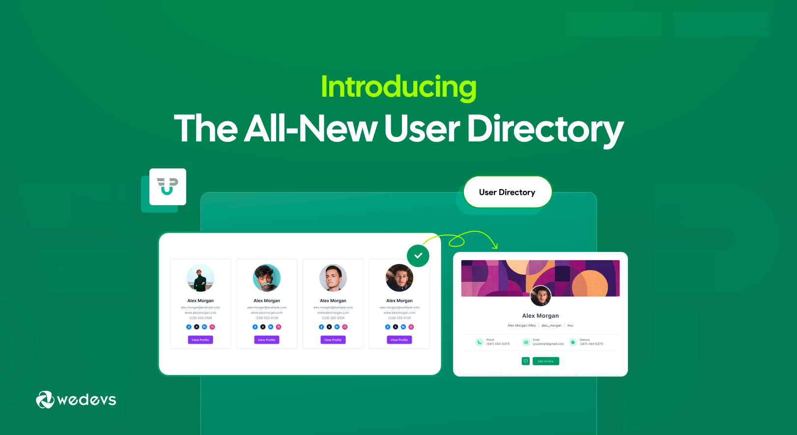 Meet the All-New User Directory in WP User Frontend