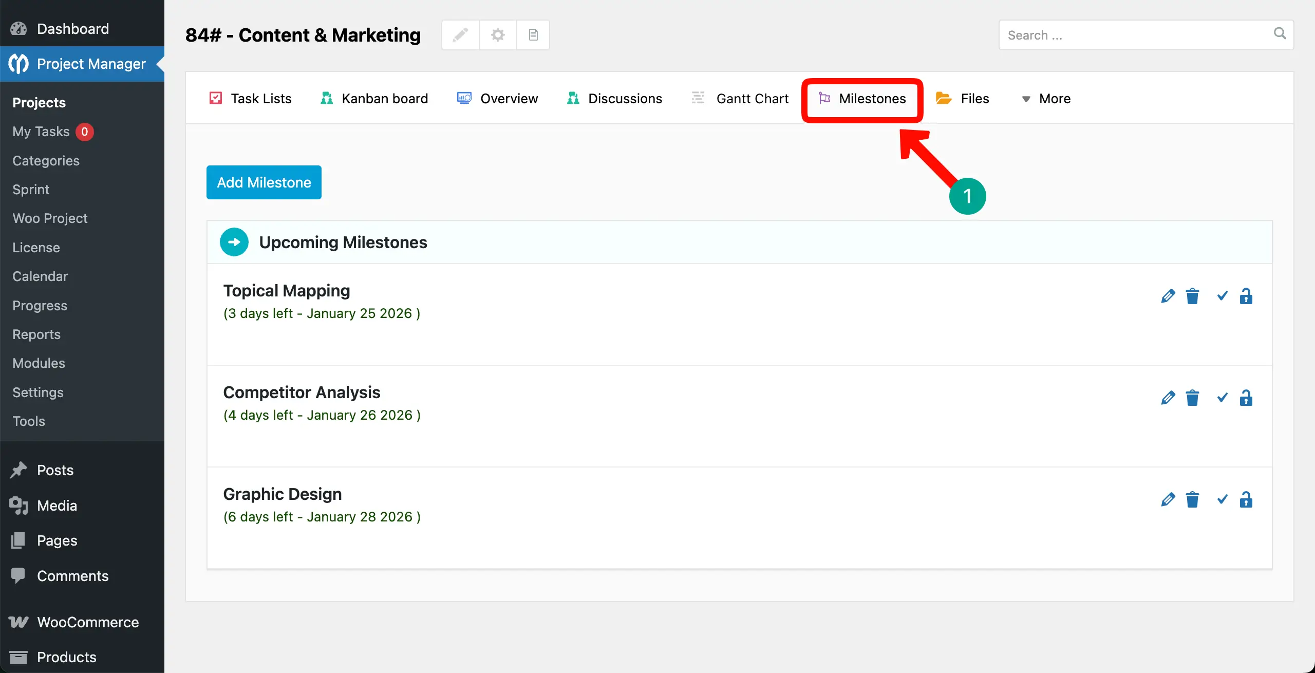 Set Milestones in project management