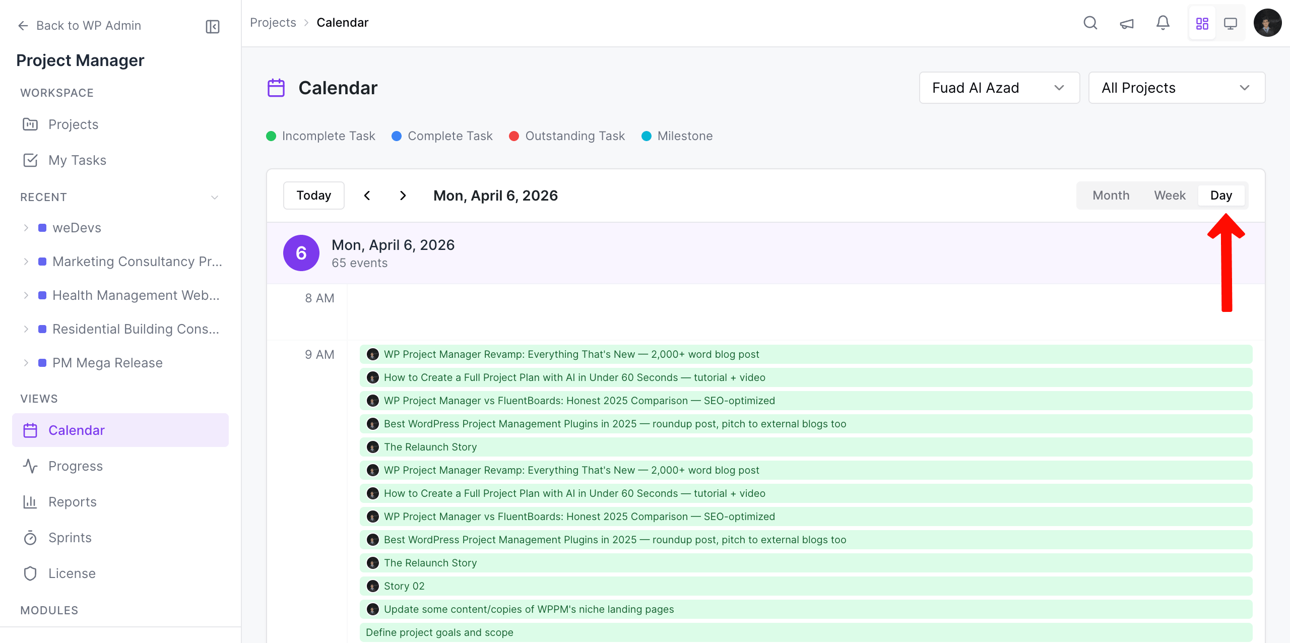 Daily calendar view of project manager