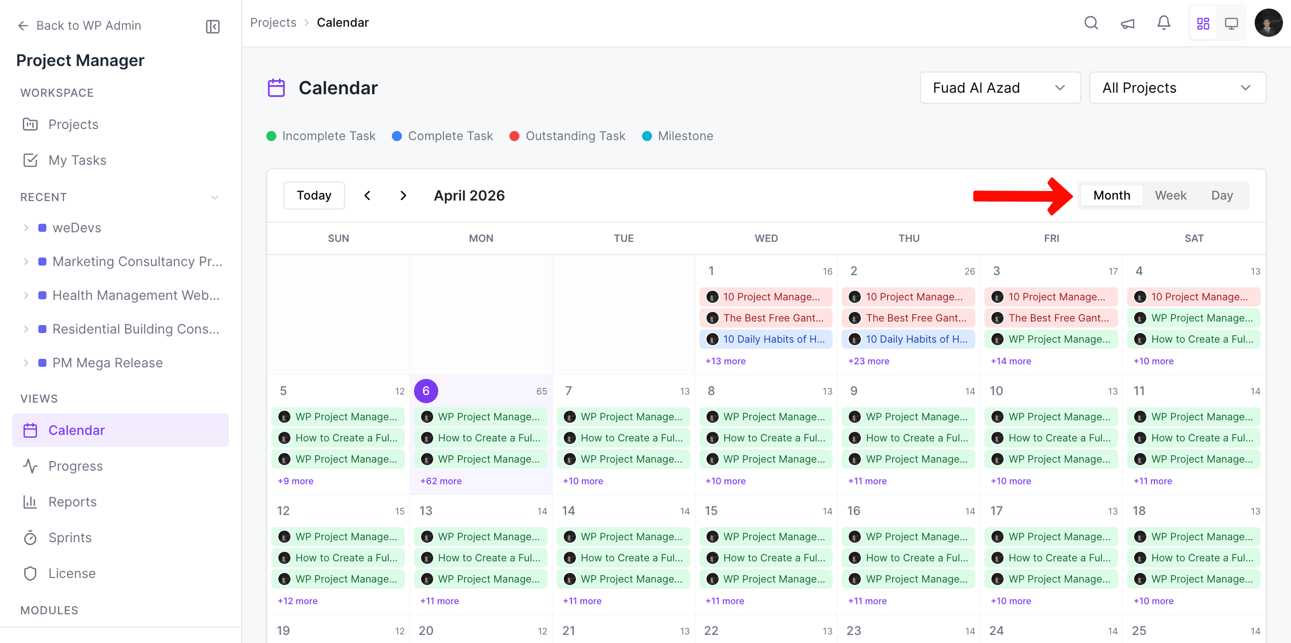 Monthly calendar view of project manager