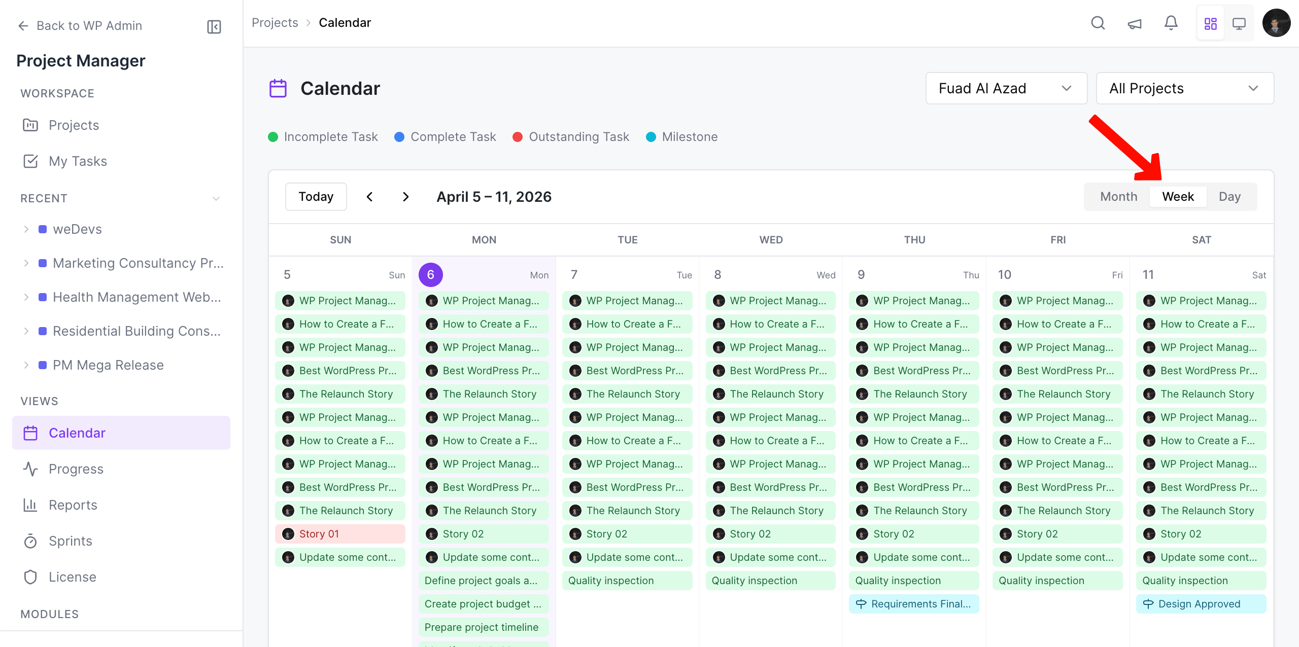 Weekly calendar view of project manager